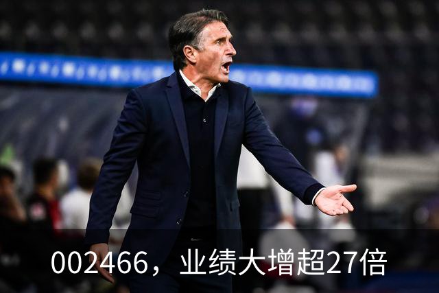 002466，业绩大增超27倍